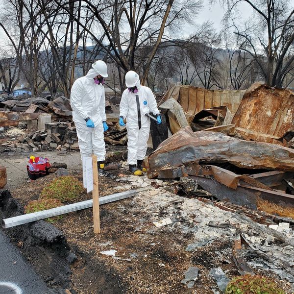 asbestos