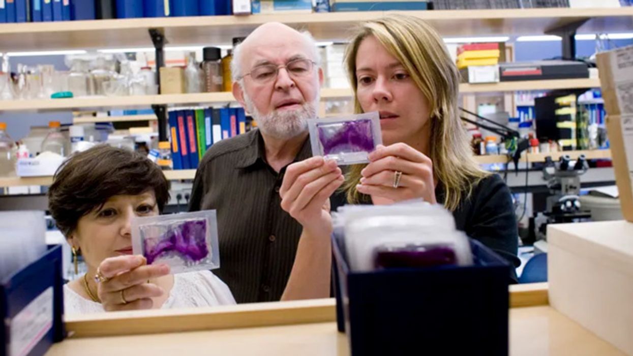 BPA pollution research being examined by scientists