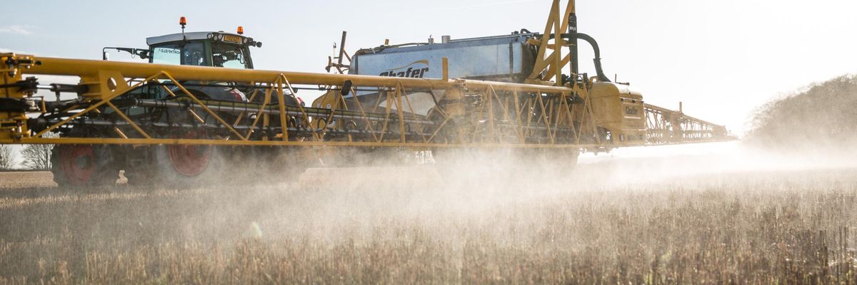 glifosato aspersión de pesticidas agricultura cosecha