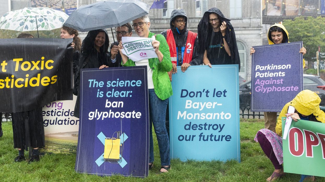 glyphosate BAYER 