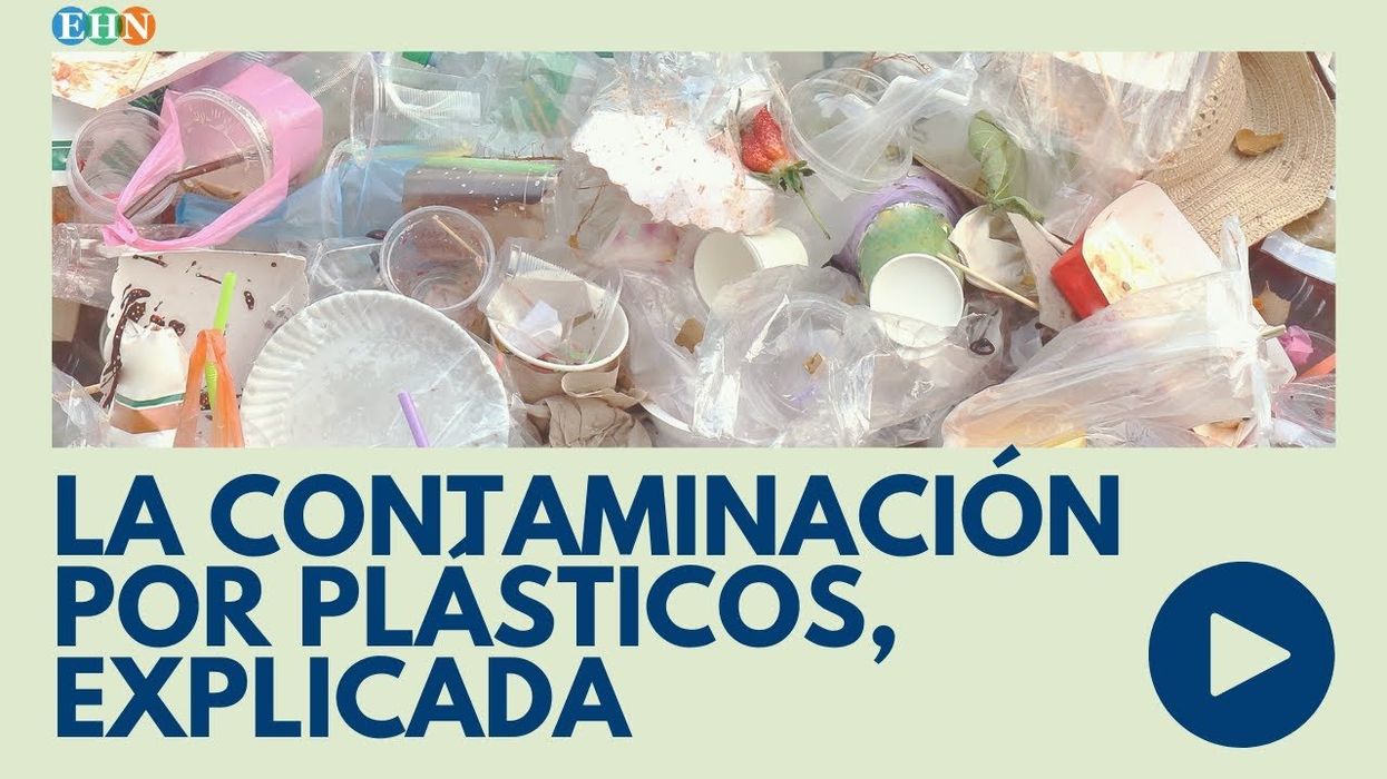 ¿Cómo afecta la contaminación por plástico al océano?