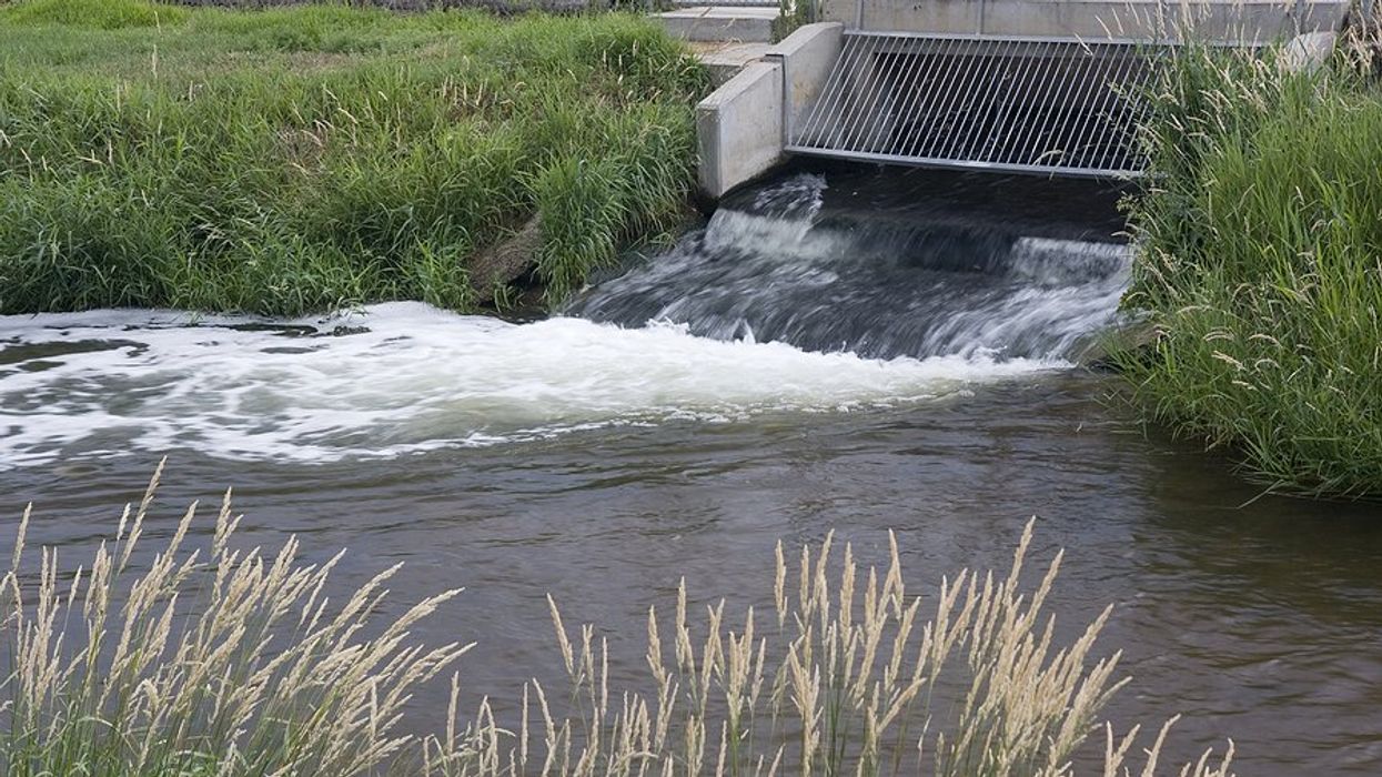 A 60-year legacy of industrial poisoning impacts Grassy Narrows First Nation