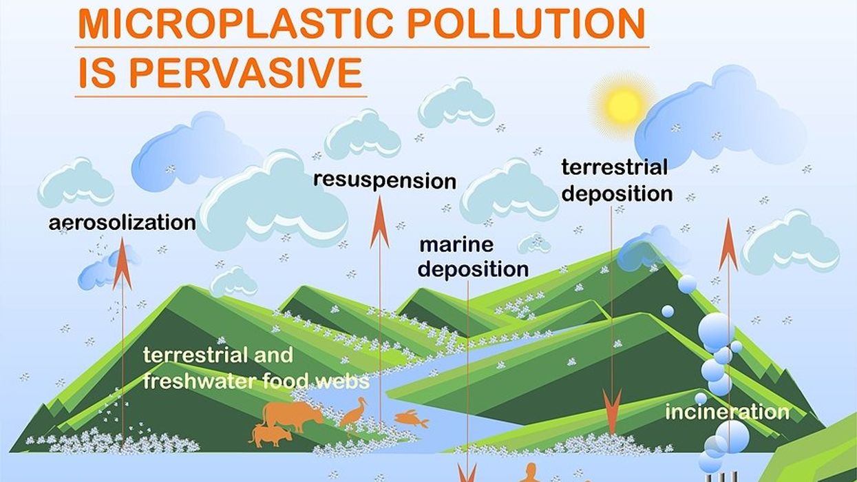 inhaling microplastics human health