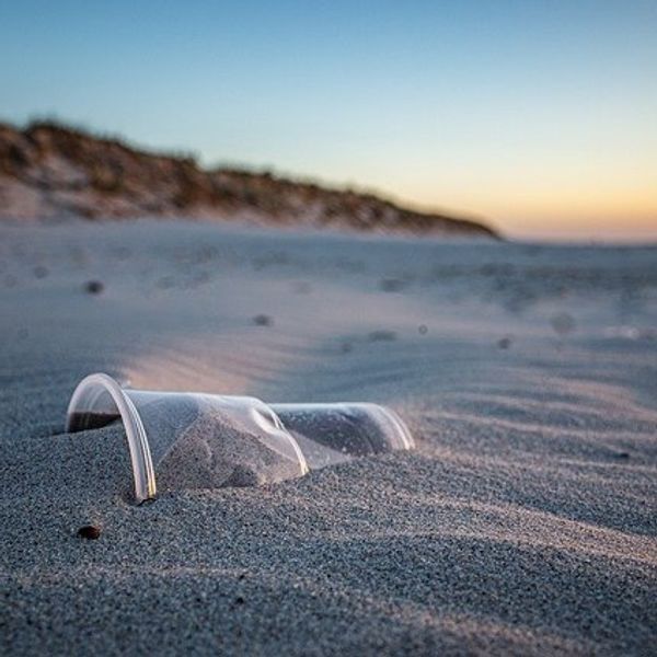 plastic cup buried in sand